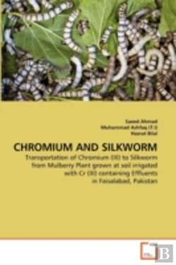 Bertrand.pt - Chromium And Silkworm