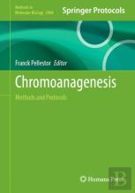 Chromoanagenesis