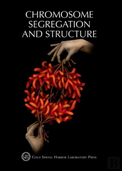 Bertrand.pt - Chromosome Segregation & Structure