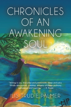Bertrand.pt - Chronicles Of An Awakening Soul