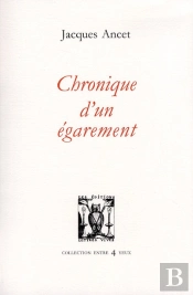 Chronique D'Un Égarement