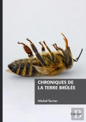 Chroniques De La Terre Brûlée