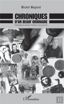 Bertrand.pt - Chroniques D'Un Beauf Ordinaire ; Télescopage De Souvenirs D'Enfance Et De Moins Loin