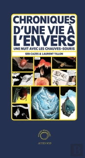 Chroniques D'Une Vie À L'Envers : Une Nuit Avec Les Chauves-Souris