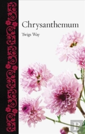 Chrysanthemum