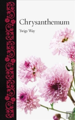Bertrand.pt - Chrysanthemum