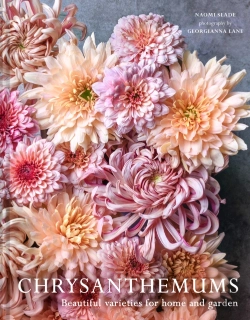 Bertrand.pt - Chrysanthemums