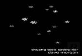 Chuang Tse'S Caterpillar