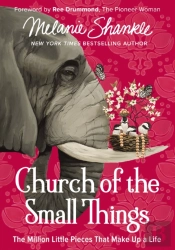 Church Of The Small Things