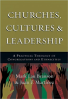 Churches, Cultures & Leadership