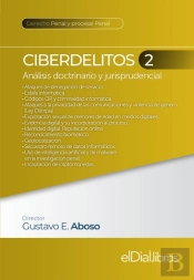 Ciberdelitos 2