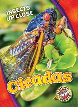 Bertrand.pt - Cicadas
