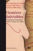 Cicatrices (In)Visibles