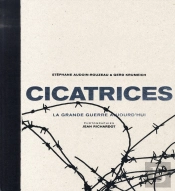 Cicatrices ; La Grande Guerre Aujourd'Hui