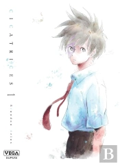Cicatrices - Tome 1