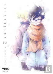 Cicatrices - Tome 2
