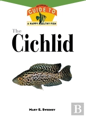 Cichlid