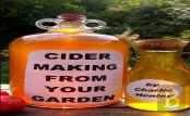 Cider Making From Your Garden