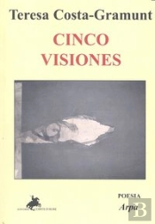 Cinco Visiones