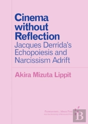 Cinema Without Reflection