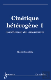 Cinetique Heterogene T.1 ; Modelisation Des Mecanismes