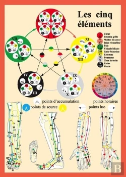 Bertrand.pt - Cinq Elements En Acuponcture - Pl. A4