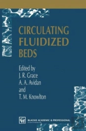 Circulating Fluidized Beds