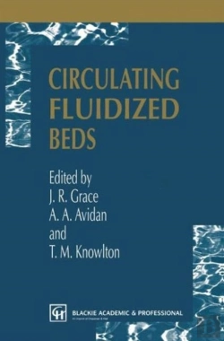Bertrand.pt - Circulating Fluidized Beds