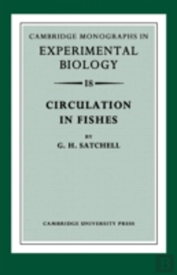 Bertrand.pt - Circulation In Fishes
