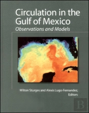 Circulation In The Gulf Of Mexico
