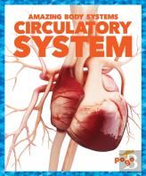 Circulatory System