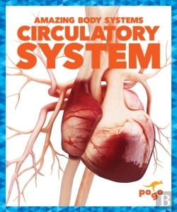 Bertrand.pt - Circulatory System