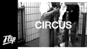 Circus