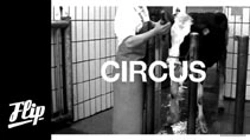 Bertrand.pt - Circus