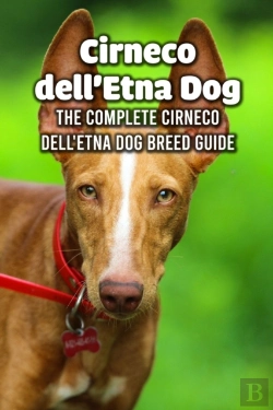 Bertrand.pt - Cirneco Dell'Etna Dog