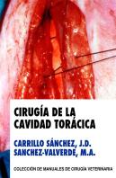 Cirugia De La Cavidad Toracica