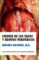 Cirugia De Los Vasos Y Nervios Perifericos