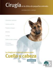 Cirugía En La Clínica De Pequeños Animales. Cabeza Y Cuello. Volumen Ii