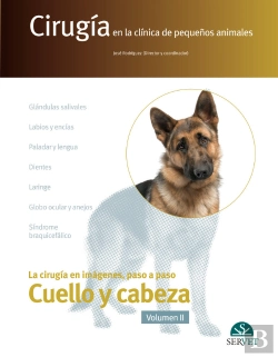 Bertrand.pt - Cirugía En La Clínica De Pequeños Animales. Cabeza Y Cuello. Volumen Ii