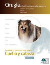 Cirugía En La Clínica De Pequeños Animales. Cuello Y Cabeza. Vol. I