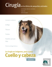 Cirugía En La Clínica De Pequeños Animales. Cuello Y Cabeza. Vol. I