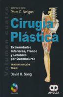 Cirugia Plastica Vol 4 Extremidades Inferiores Tronco Lesio