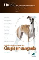 Cirugía Sin Sangrado. Cirugía En La Clínica De Pequeños Animales