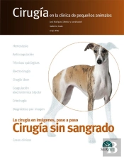 Cirugía Sin Sangrado. Cirugía En La Clínica De Pequeños Animales
