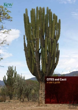 Bertrand.pt - Cites And Cacti