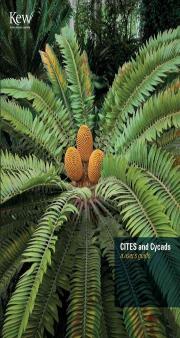 Cites And Cycads