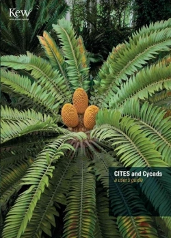 Bertrand.pt - Cites And Cycads