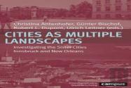 Cities As Multiple Landscapes