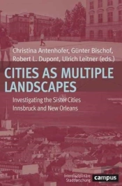Cities As Multiple Landscapes