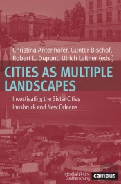 Cities As Multiple Landscapes